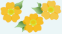 山吹の花